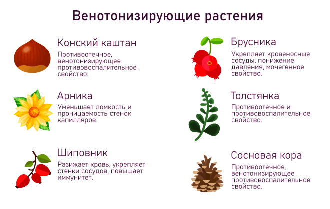 растения венотоники